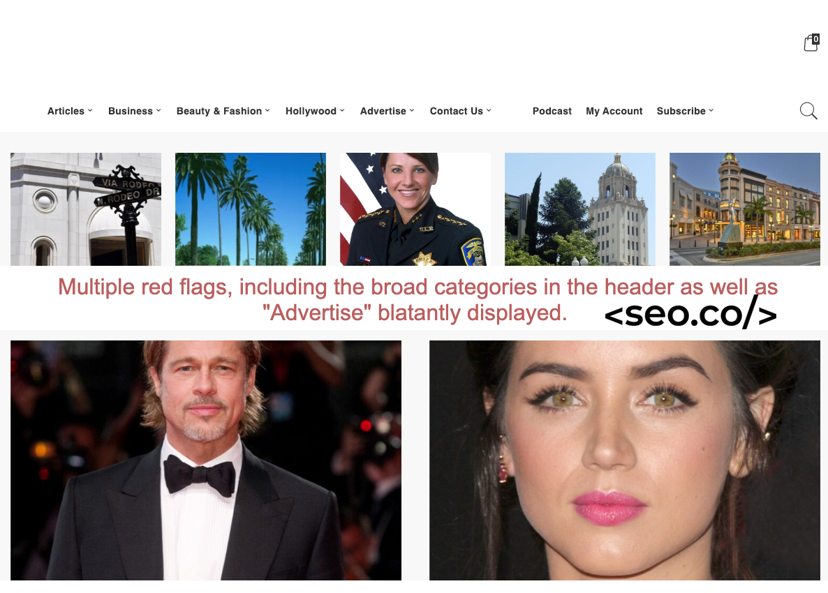 bad example of a guest blog site for white label link building
