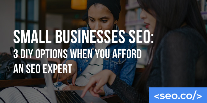 Small Businesses SEO: AI-Focused SEO DIY Options When You Can't Afford an SEO Expert