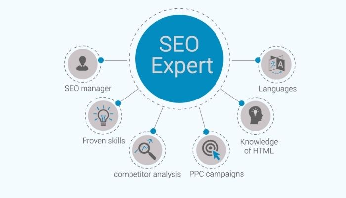 SEO Expert