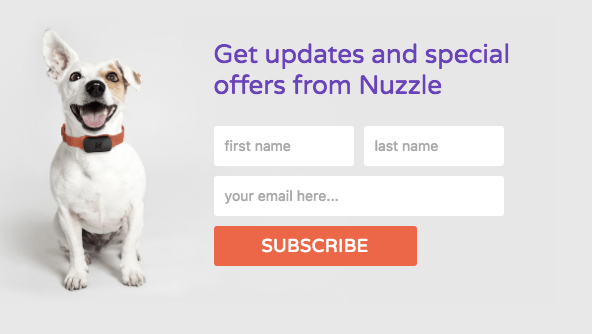 call to action subscription request