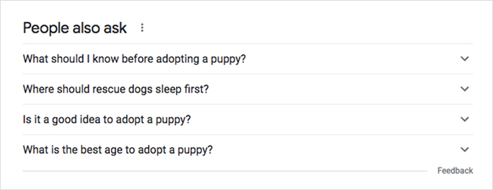 People Also Ask - Google Search Snippet