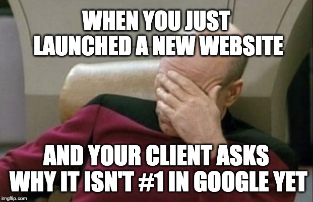 New website rankings drop