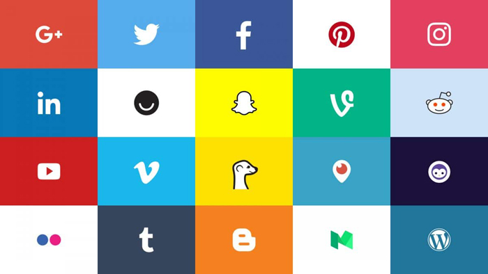 Social Profile Backlinks