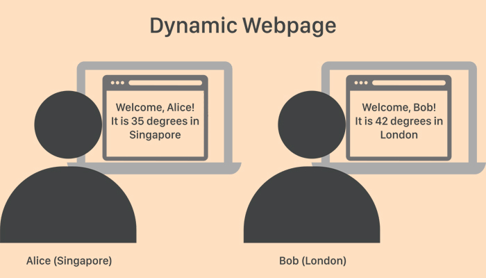 Plugins facilitate on-page SEO for dynamic content