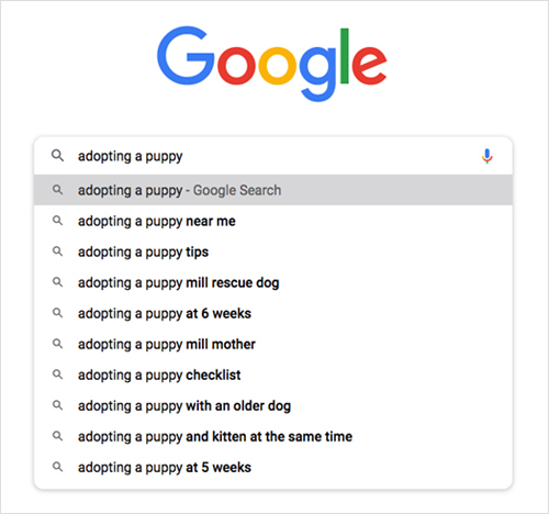 Adopting a puppy