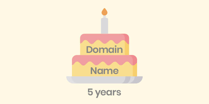 Age of Your Domain: Are Older Domains Better for SEO?